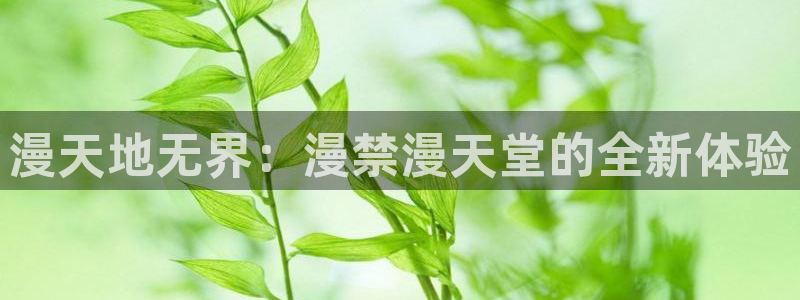 曼漫蛙2