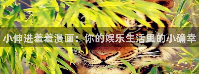 蛙漫最新网站