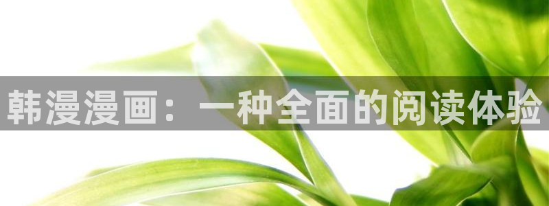 蛙漫2下载正版官网