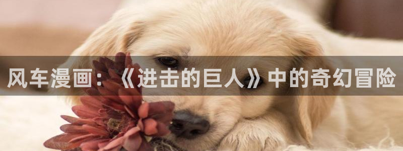 安卓手机怎么下载漫蛙