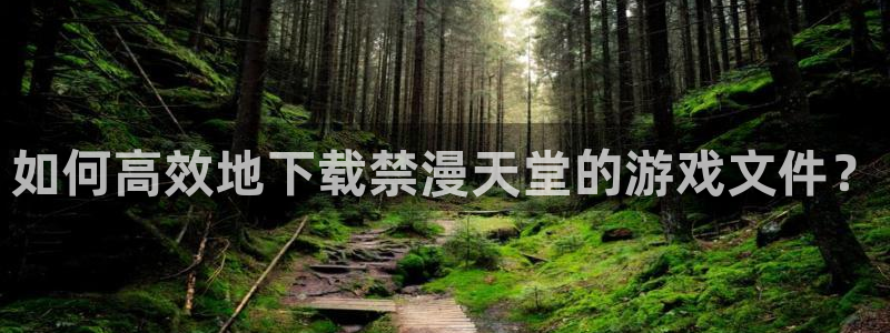 漫蛙防走失网页版