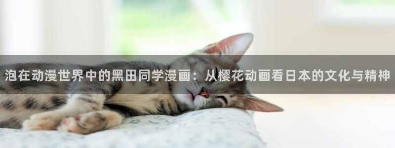 猫猫漫画漫画首页