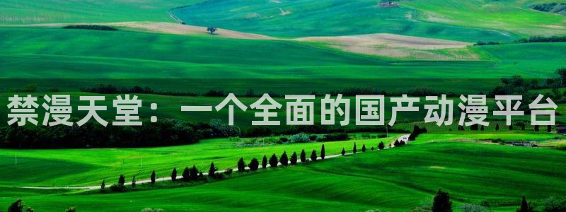 漫蛙防走失网页：禁漫天堂：一个全面的国产动漫平台