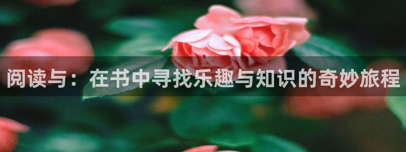 漫蛙漫画血十字：阅读与：在书中寻找乐趣与知识的奇妙旅程